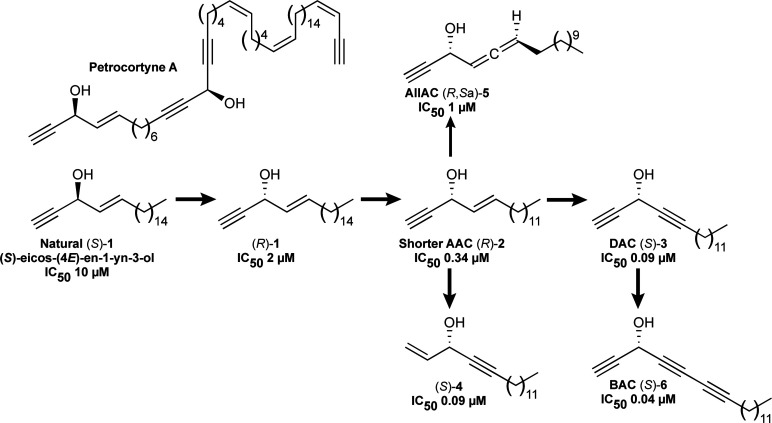 Figure 1—figure supplement 1.