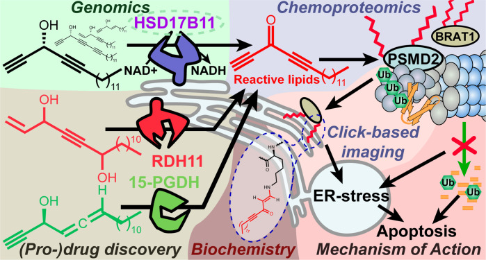 Figure 6—figure supplement 1.