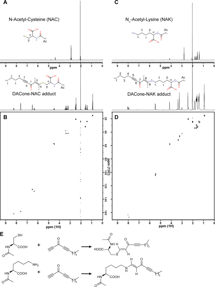 Figure 2—figure supplement 4.