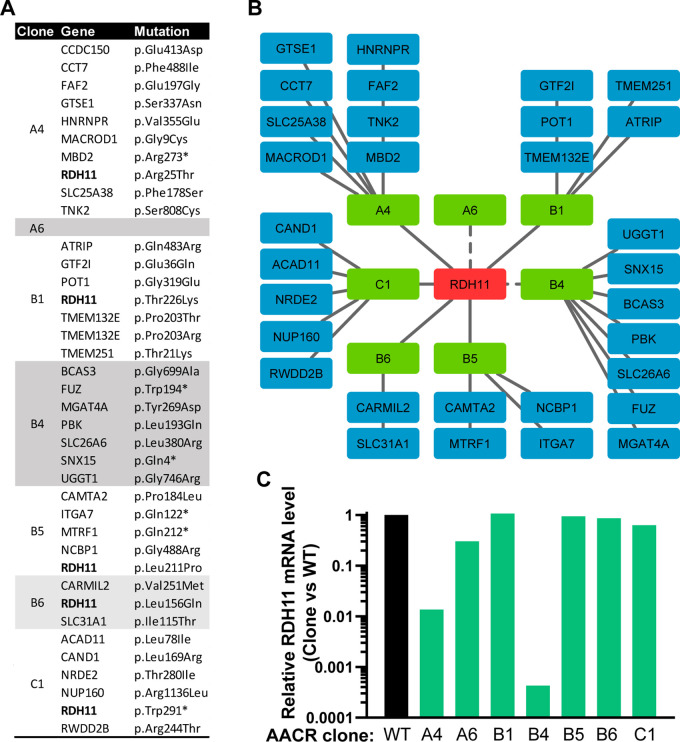 Figure 5—figure supplement 1.