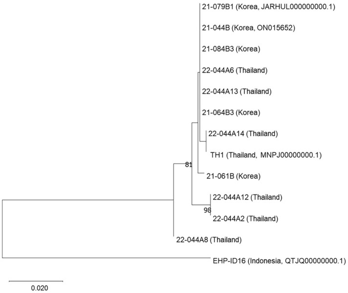 Fig. 2