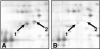 FIG. 1.