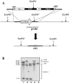 FIG. 5.
