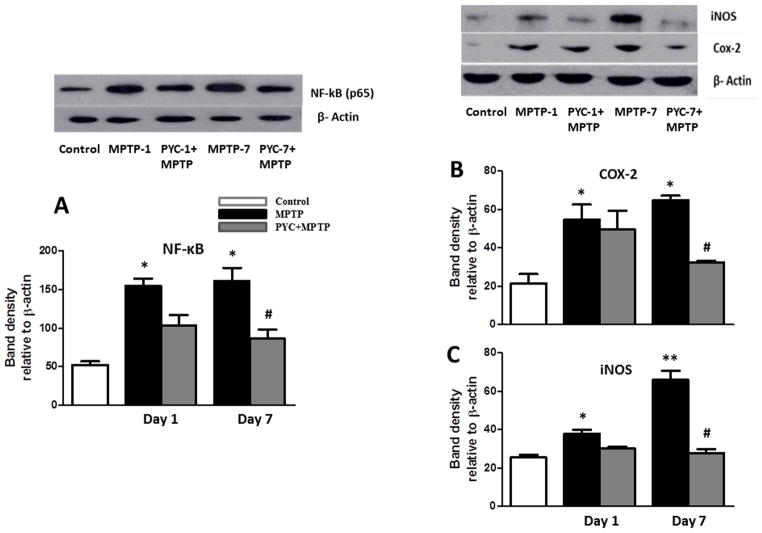 Figure 7