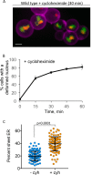 FIGURE 6: