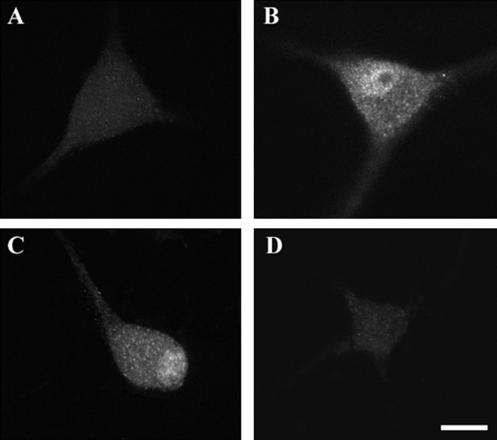 Fig. 10.