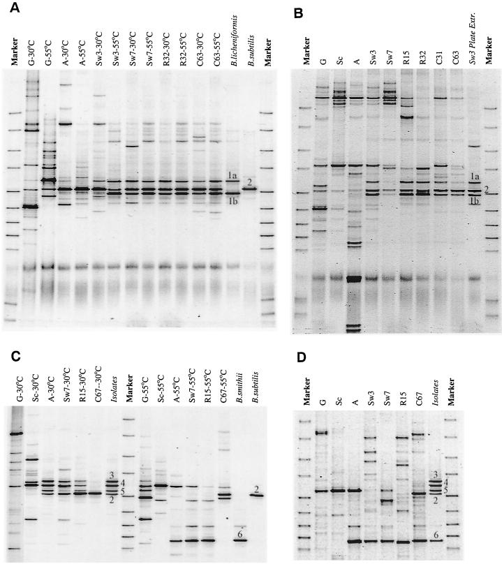 FIG. 5