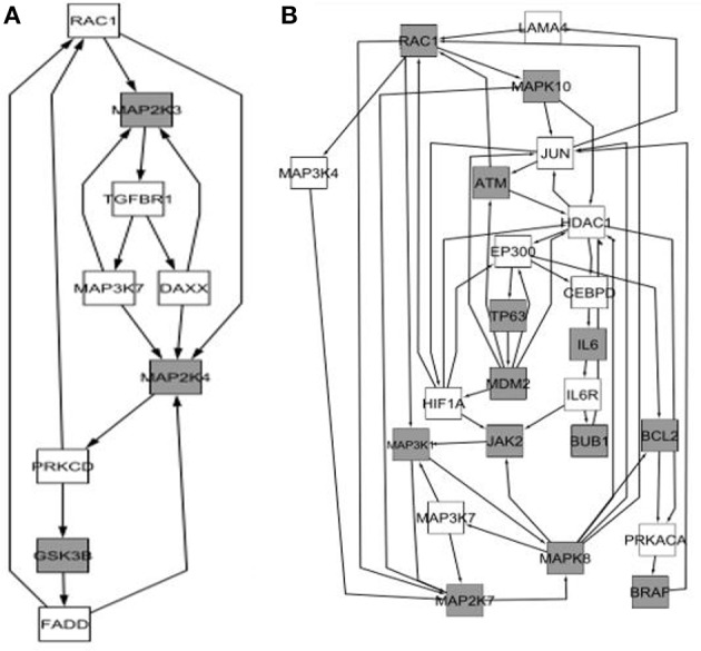 Figure 7