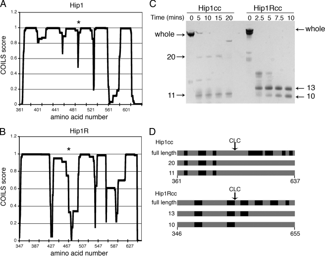 FIGURE 3.