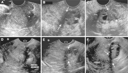 Fig. 5