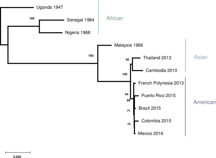 Fig 1