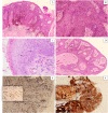 Fig. 2