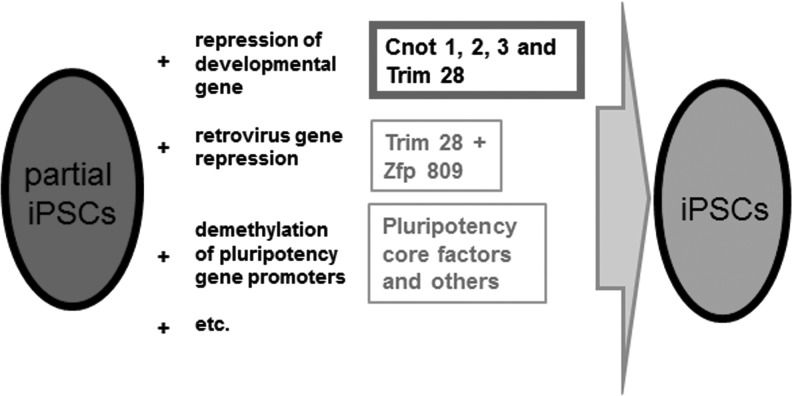 FIG. 7.