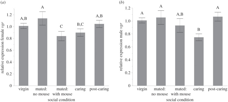 Figure 3.