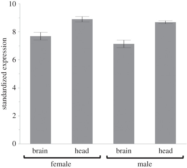 Figure 4.