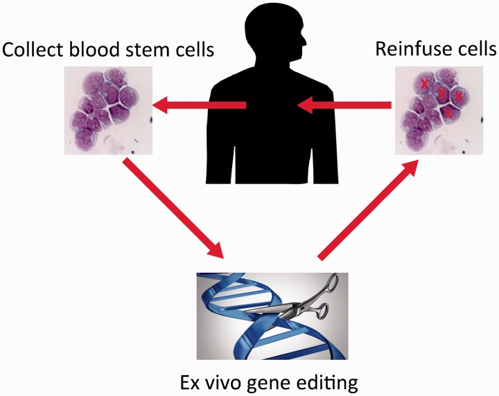 Figure 3.