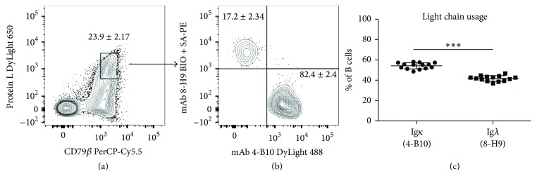 Figure 8