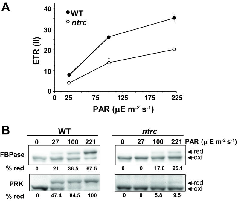 Fig. S6.