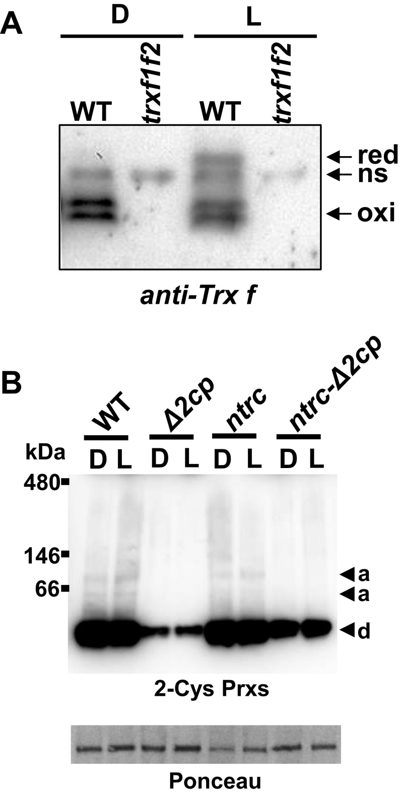 Fig. S5.