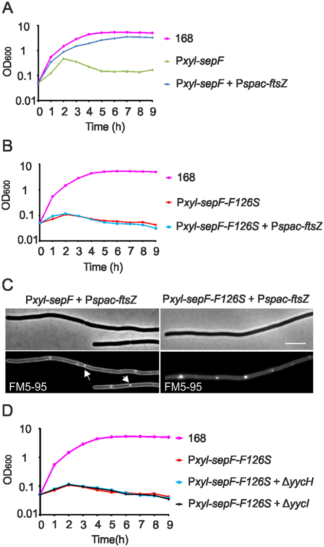 Figure 9