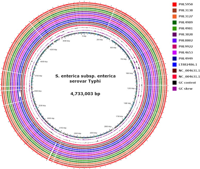 FIG 1