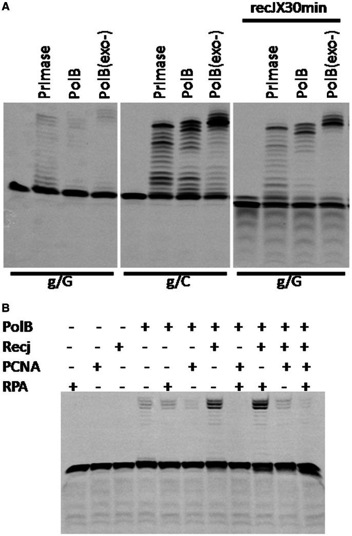 Figure 5.