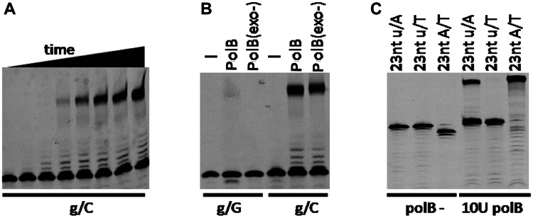 Figure 2.