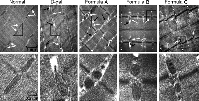 FIG. 4.