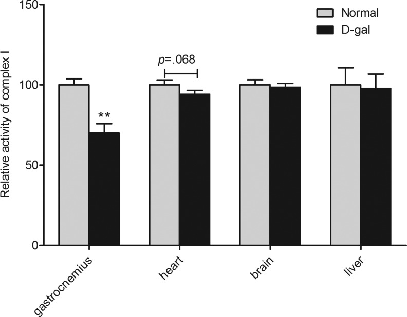 FIG. 6.