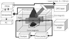 Fig. 1