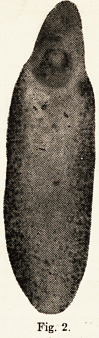 556-5