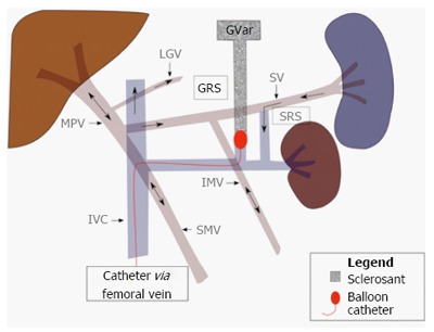 Figure 15