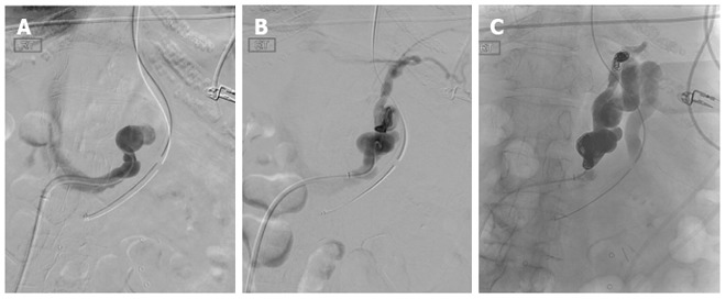 Figure 16