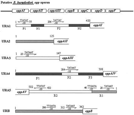 FIG. 1.