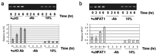 FIGURE 6