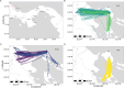 Consistent, colony-specific long-distance foraging flights across years and seasons