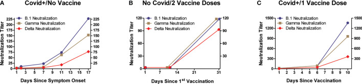 Figure 3