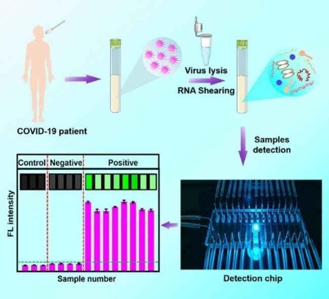 graphic file with name CHEM-28-0-g002.jpg