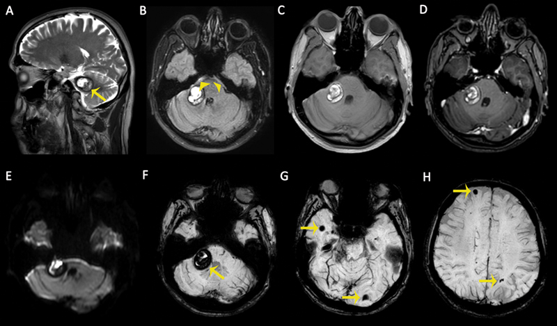 Fig. 7