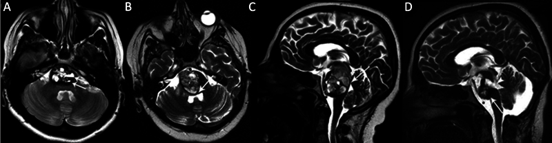 Fig. 8