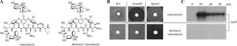 Fig 5