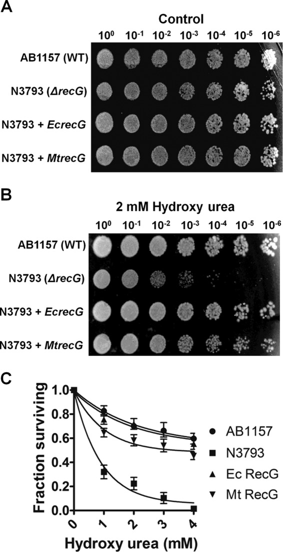 FIGURE 1.