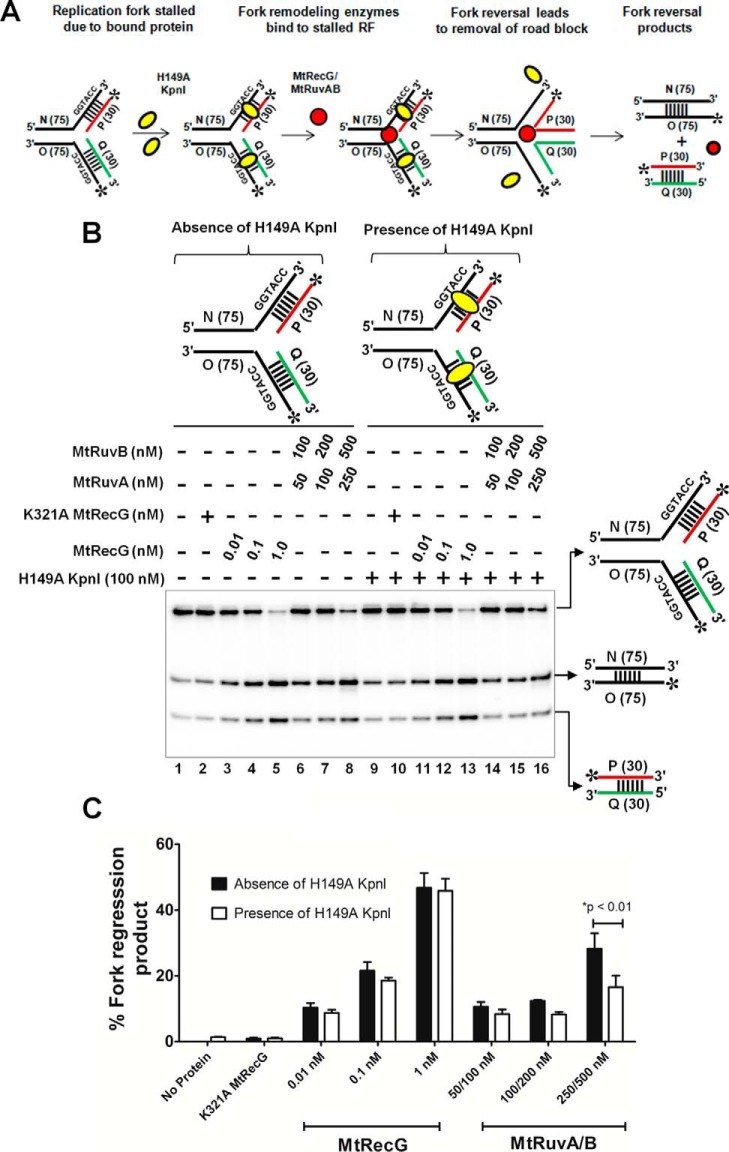 FIGURE 11.