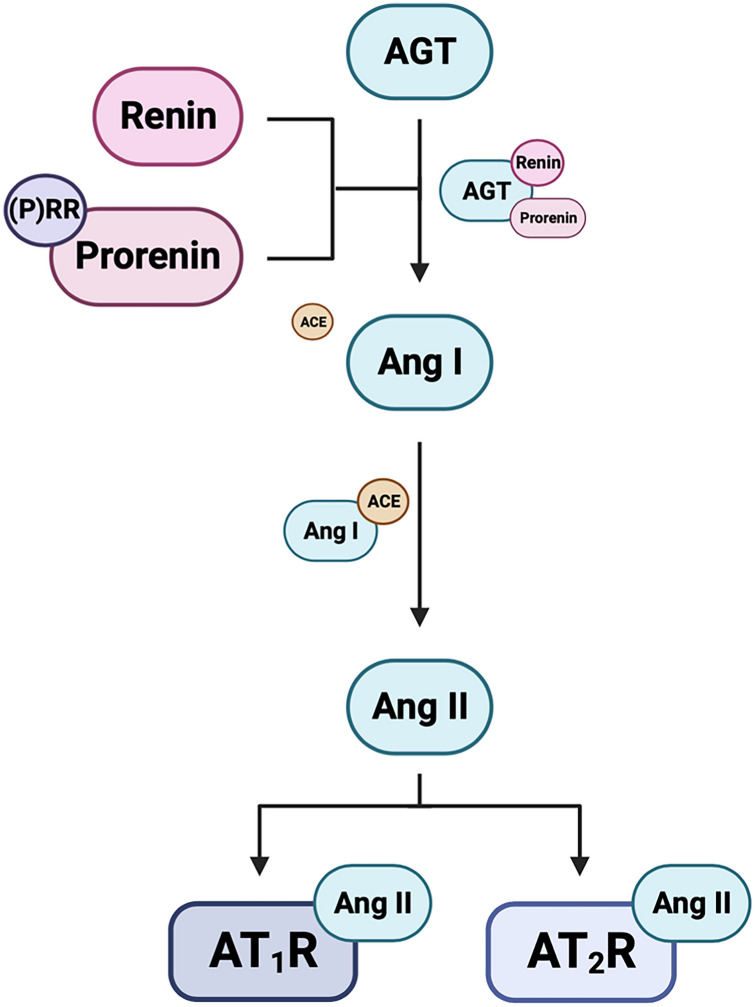 Fig. 2