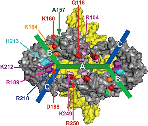 Fig. 1