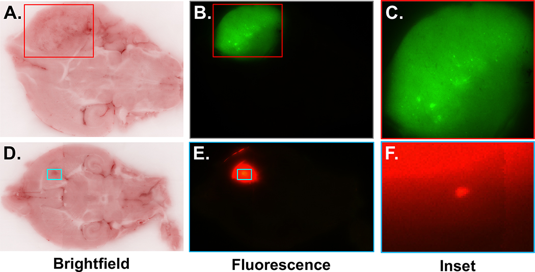 Figure 5.