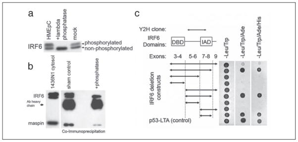 FIGURE 3