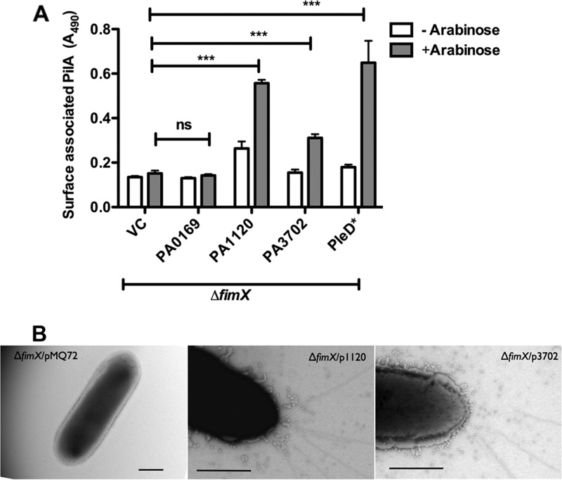 Fig 4