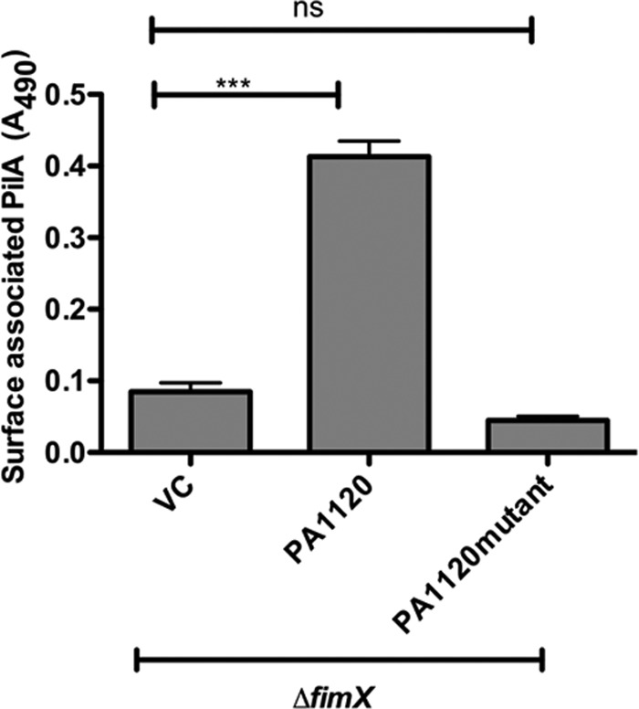 Fig 5