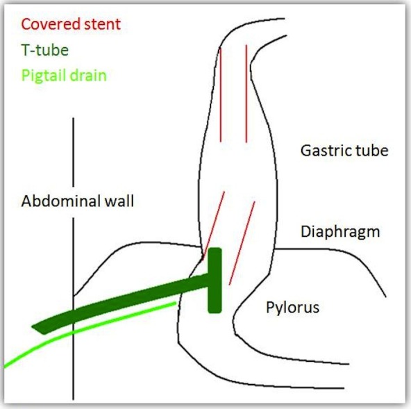 Figure 6